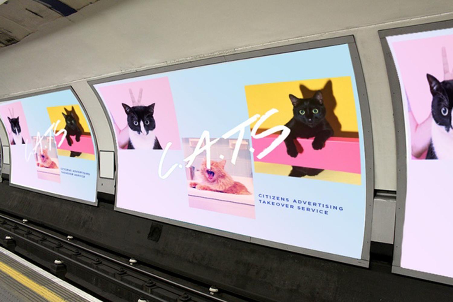 Adverts at Clapham Common Tube station to be replaced with pictures of cats