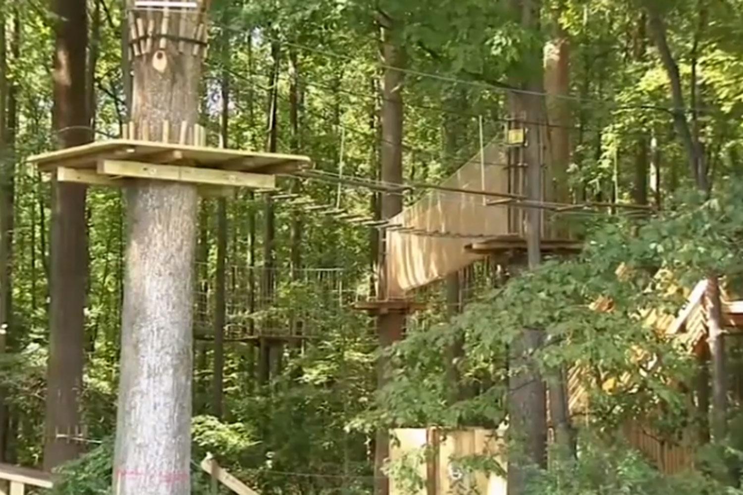 Woman dies after falling 40ft from Go Ape course in the US