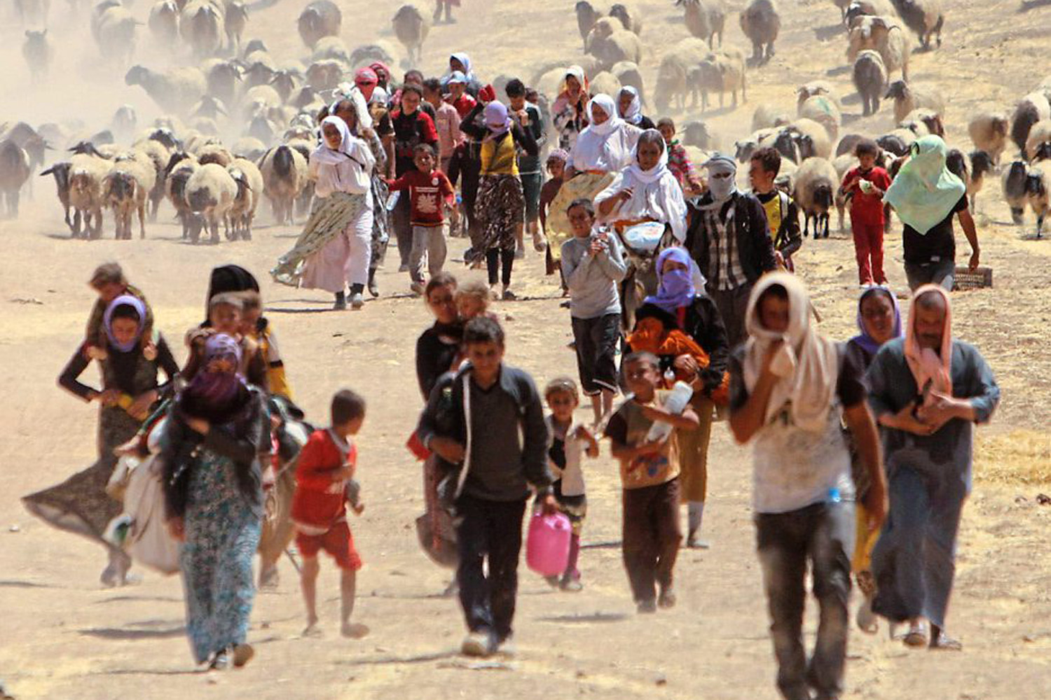 Philippe Sands: Government has no excuse for not recognising genocide