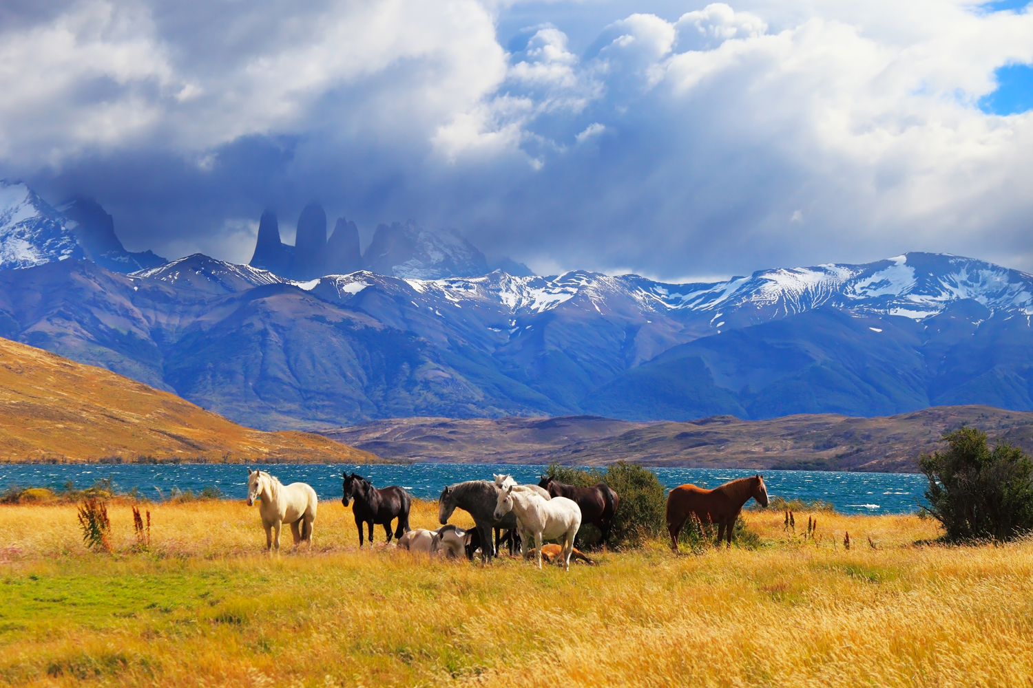 Your travel calendar for 2017: Chile, Canada and Tallinn