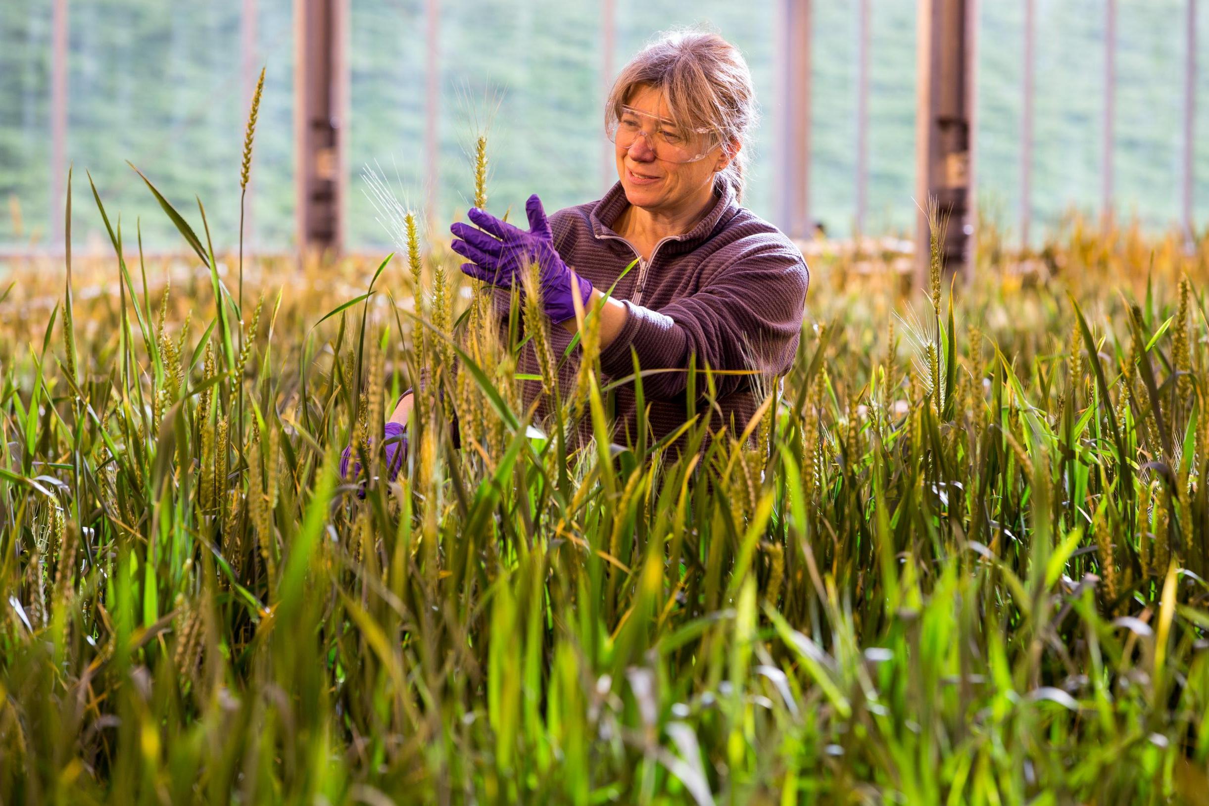 Meet the scientists trying to satisfy London's soaring demand for food