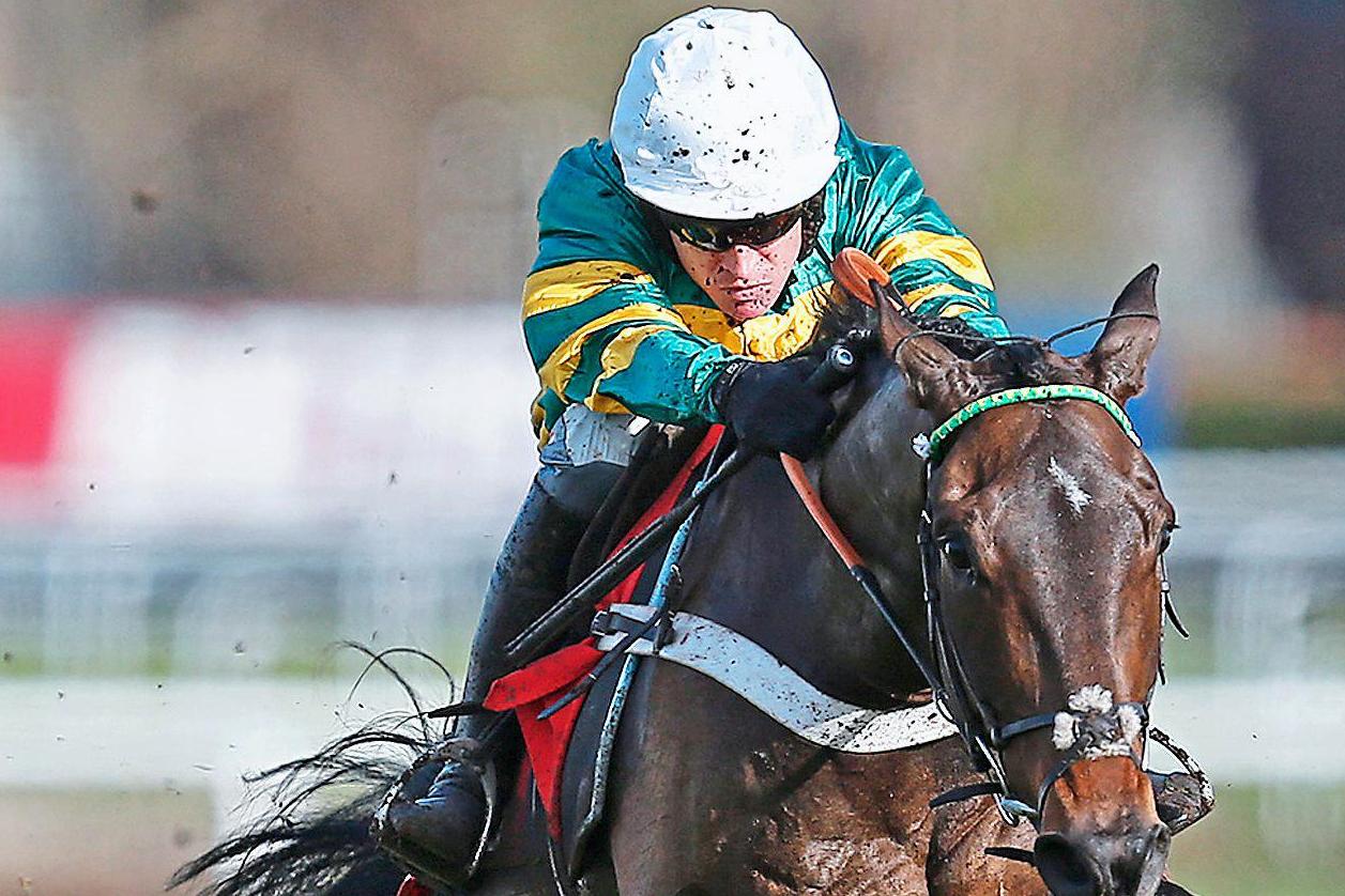 Buveur D’Air can hit rivals for six and hand Henderson record win