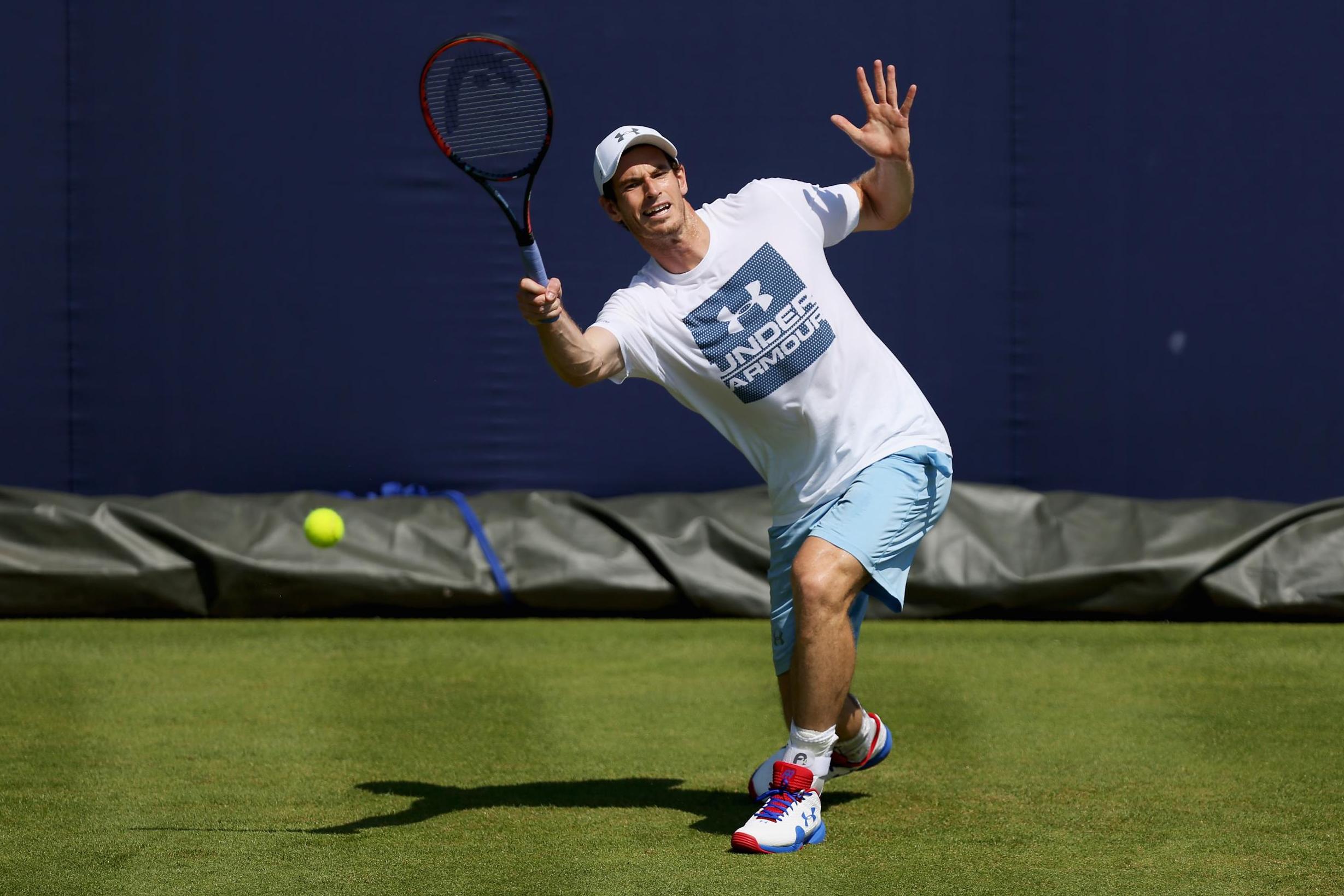 Andy Murray's possible route to the Queen's 2017 title