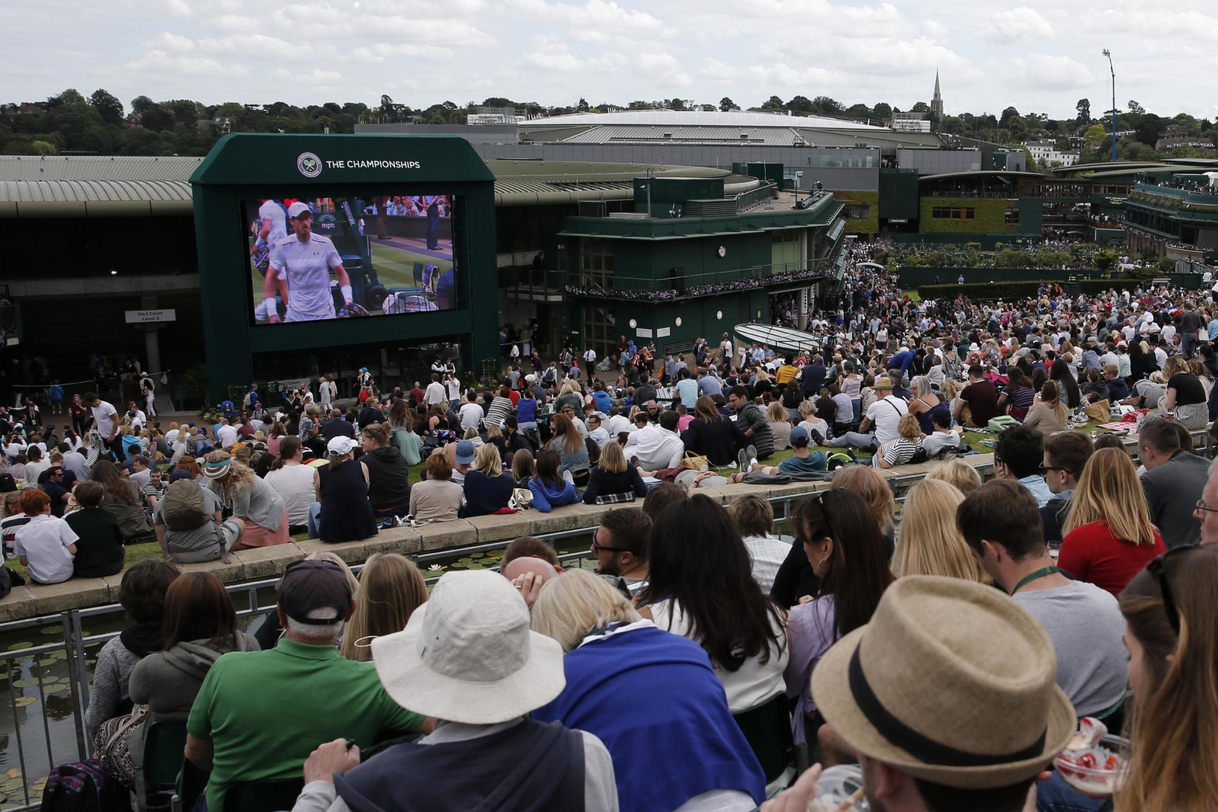 Tennis fan attacks woman on Henman Hill during Murray match