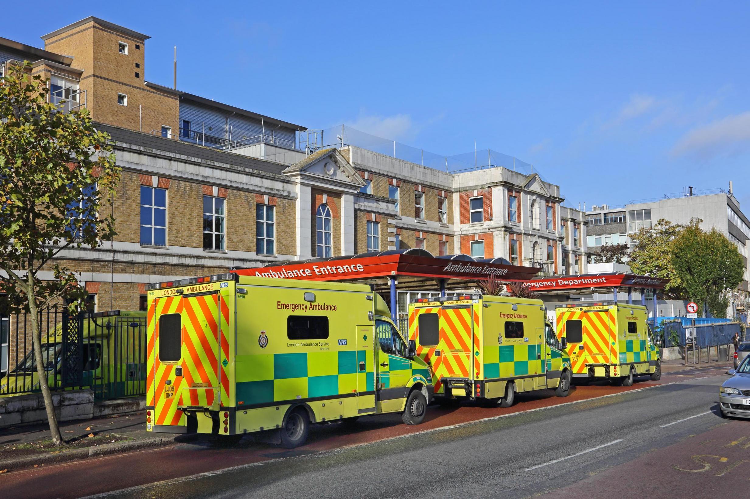 'Japanese fungus' outbreak hits London hospitals
