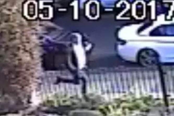 Manhunt after 'frightening' sex attacks on women and children