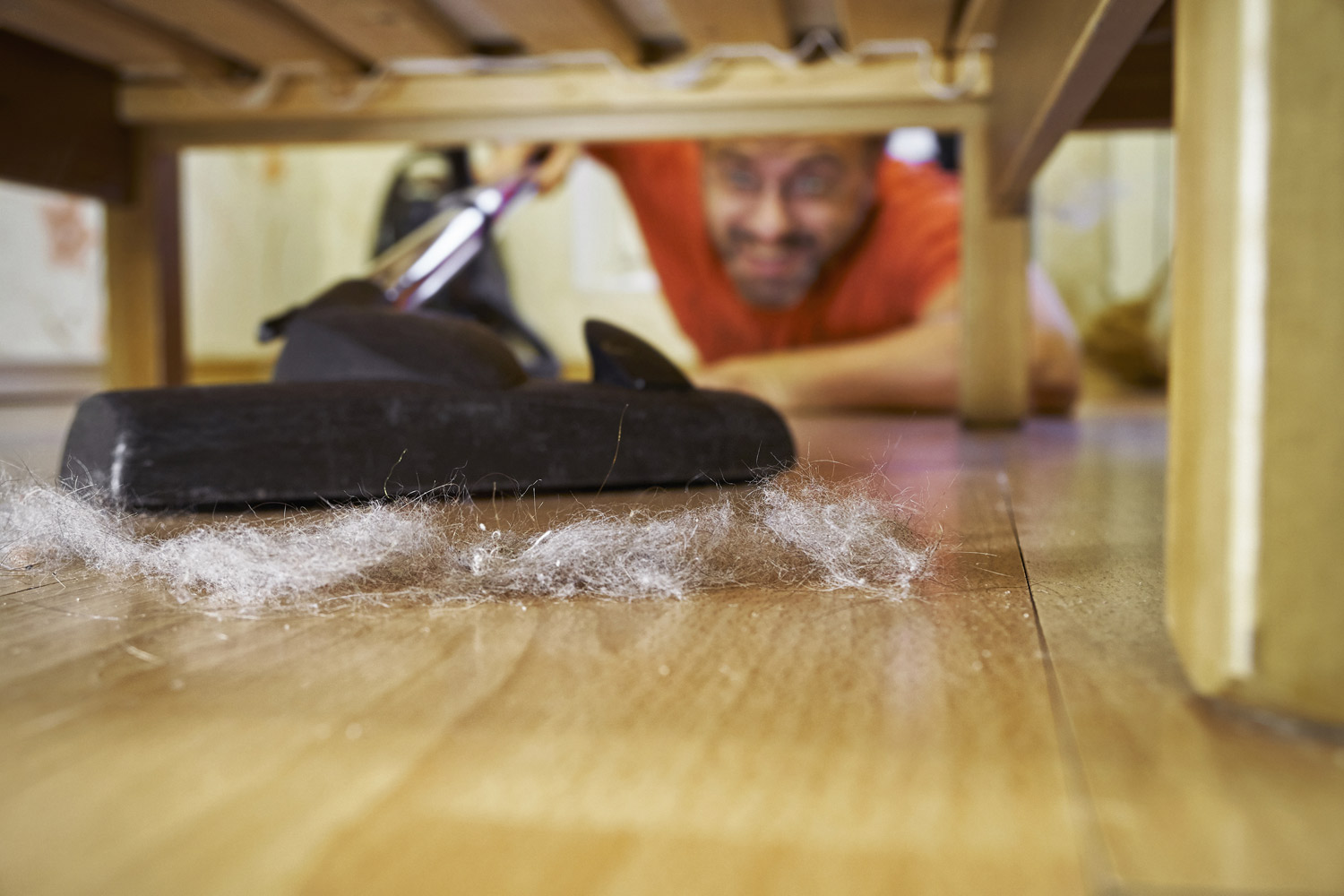 'Obsessive tidiness could be the root cause of racism'