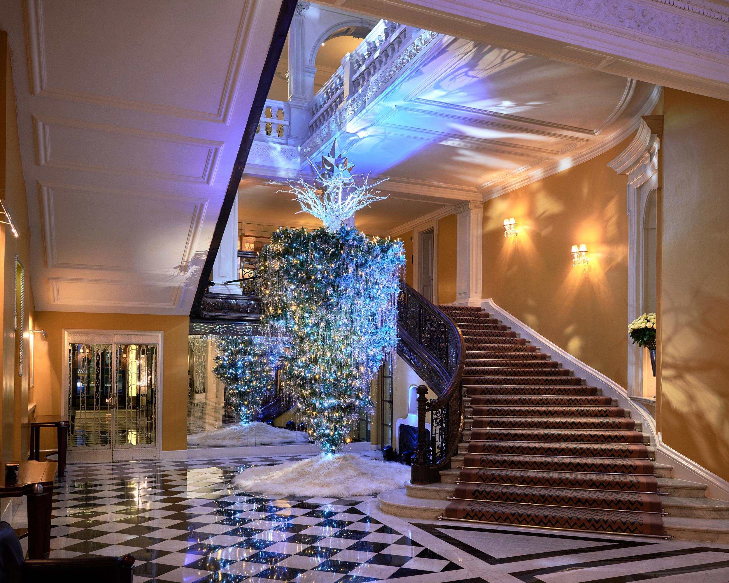 Spruce up! The best Christmas trees in London