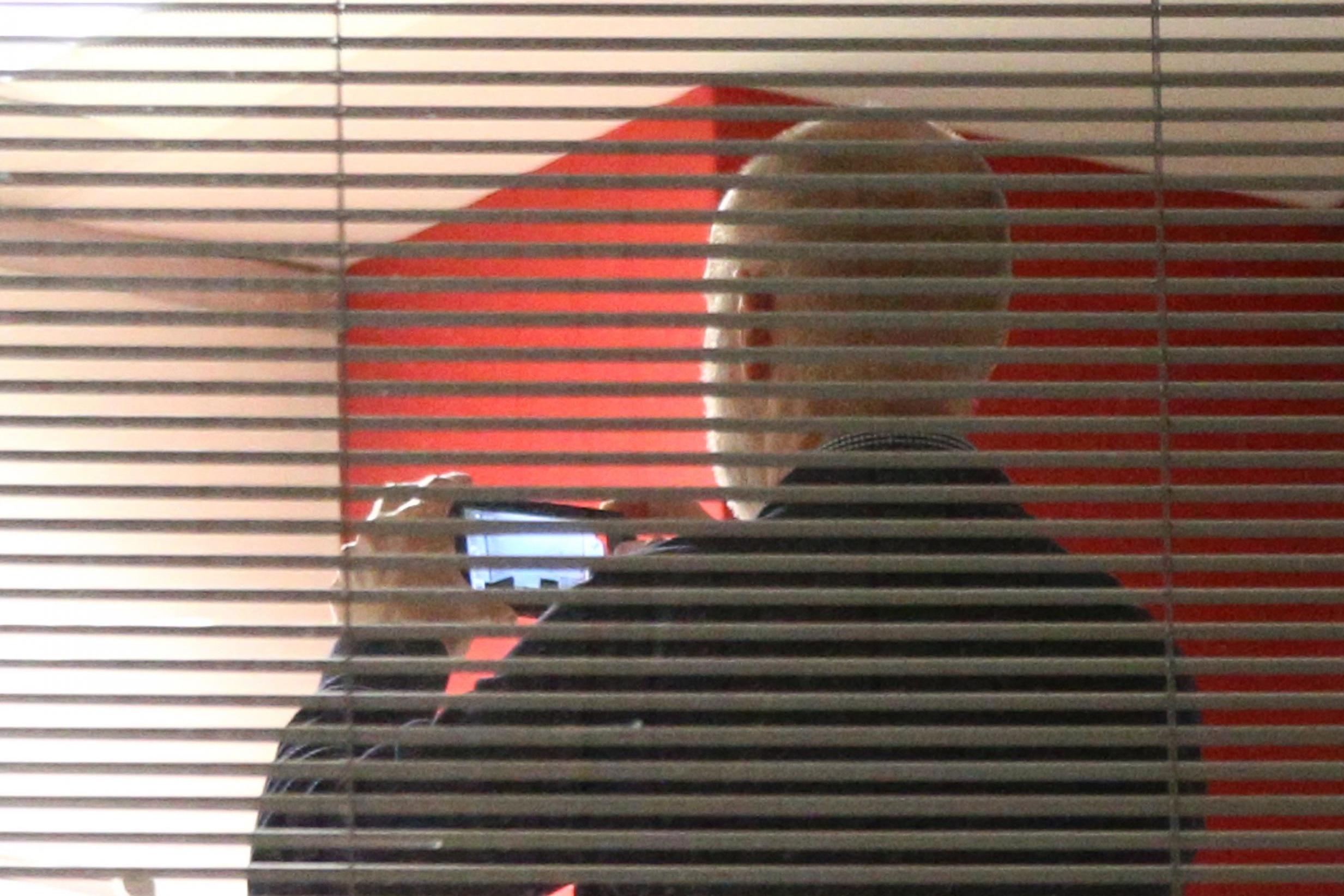 Data watchdog raids Cambridge Analytica office in London