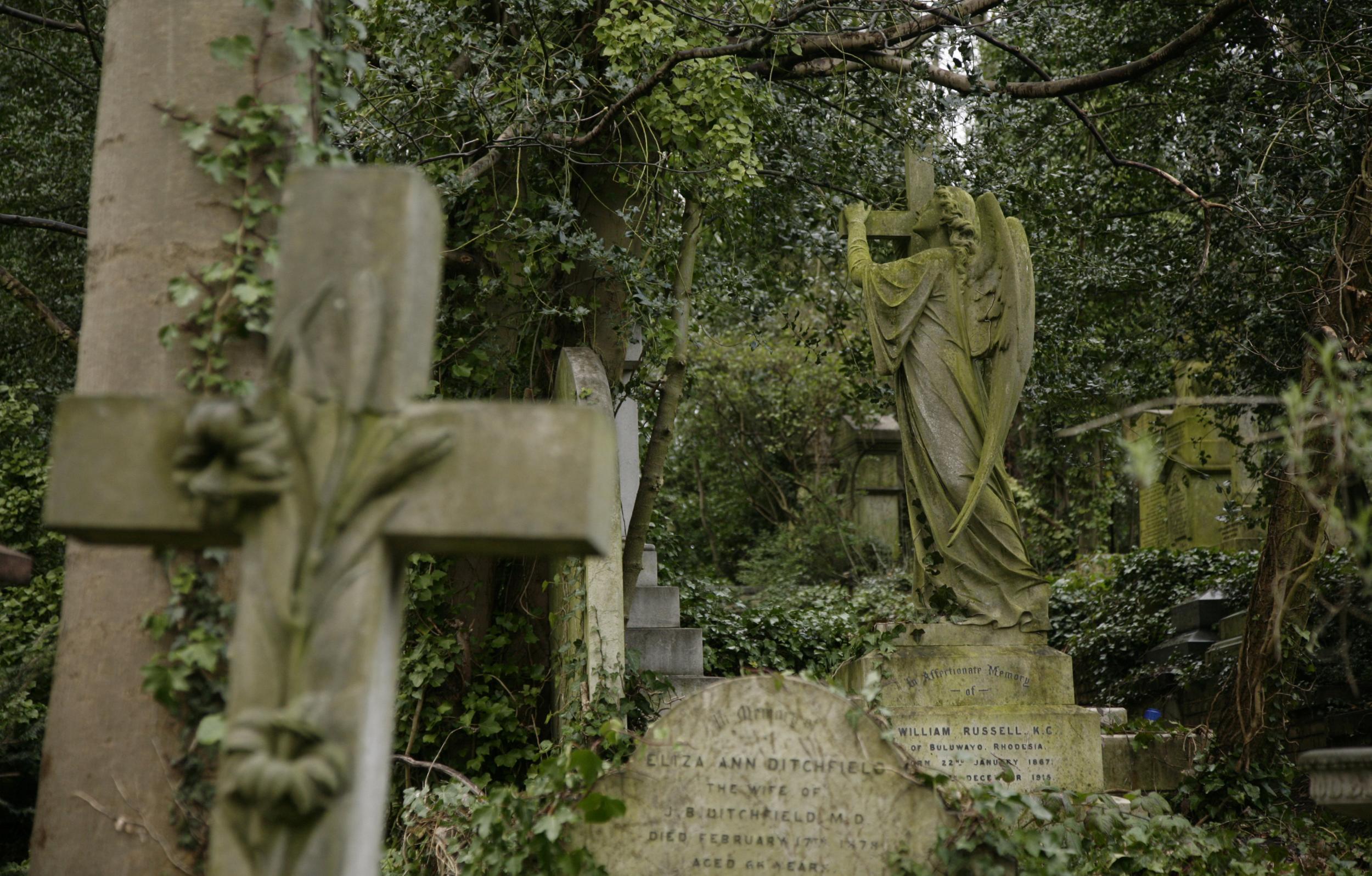 Londoners urged to help protect seven 'incredibly special' cemeteries