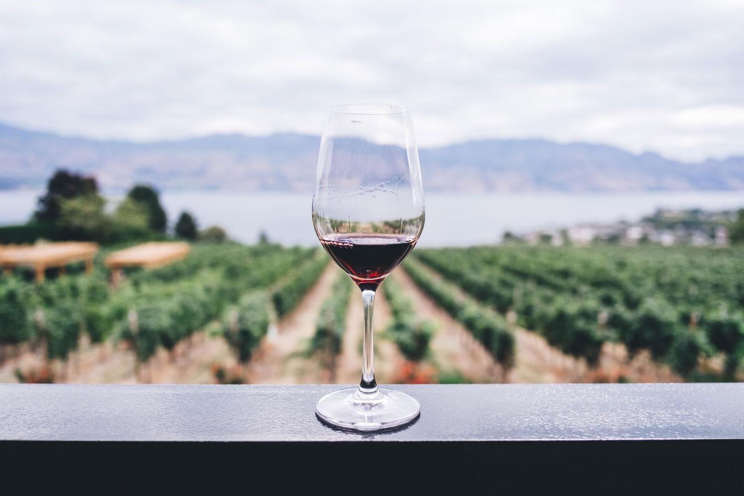 Health-conscious millennials are driving the natural wine industry