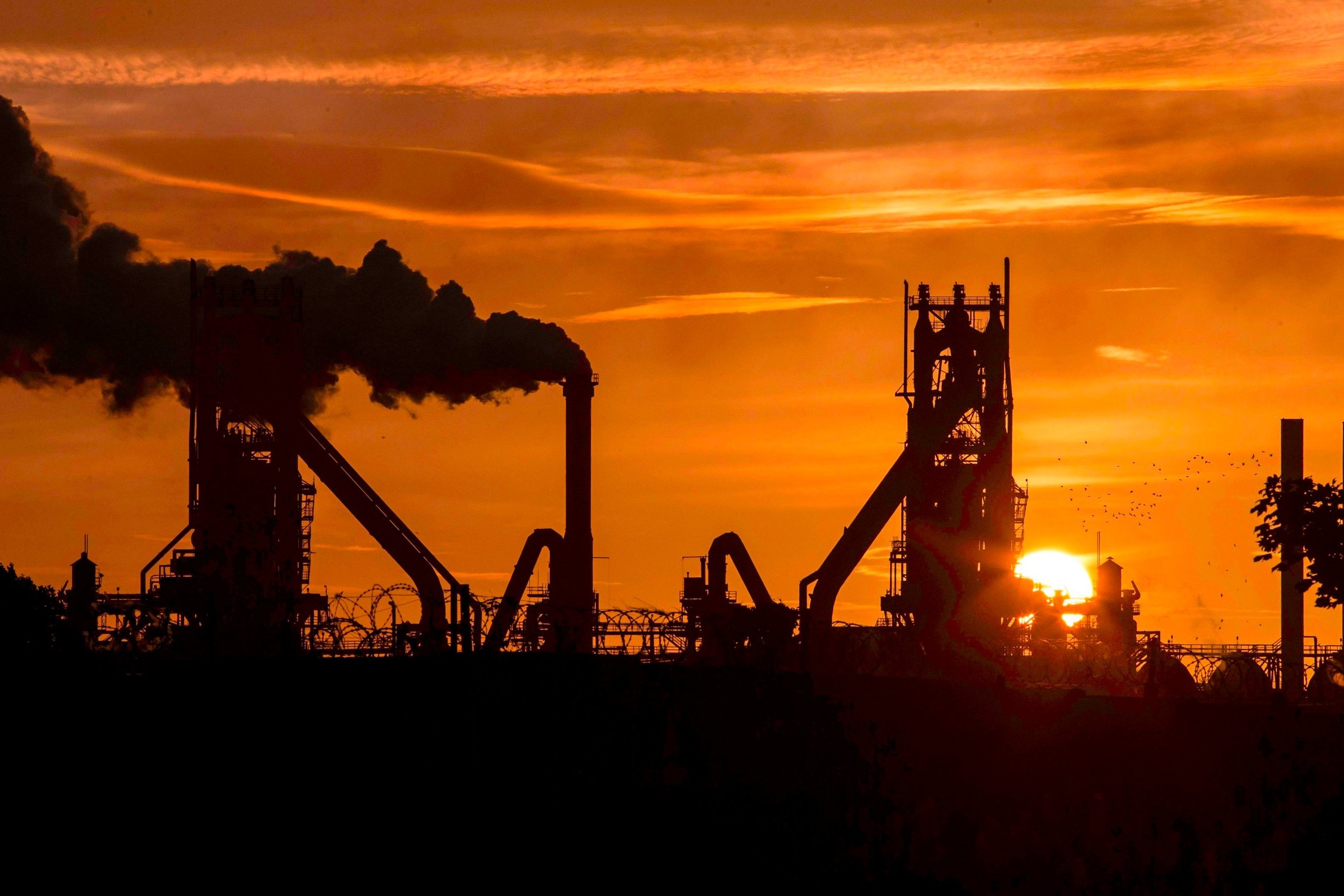 Basset & Gold-linked Gallium falls into loss, says FCA had complaints 