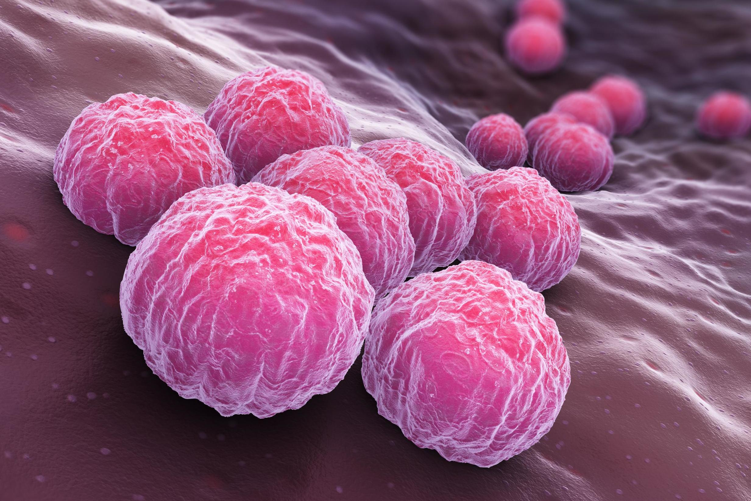 'Important first step' in vaccination against chlamydia