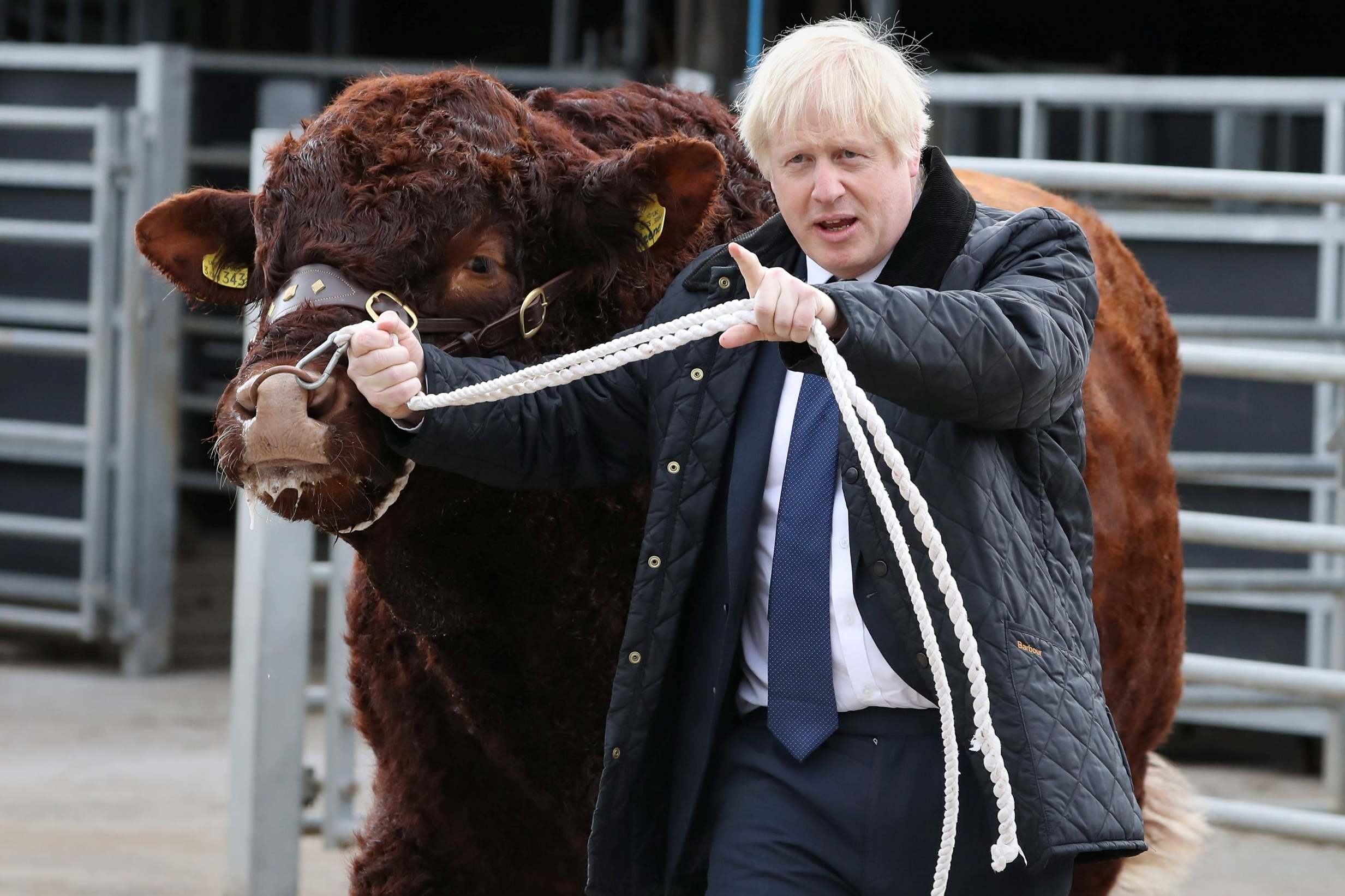 Tesla backer Baillie Gifford saw UK picks leap too. Here’s how.