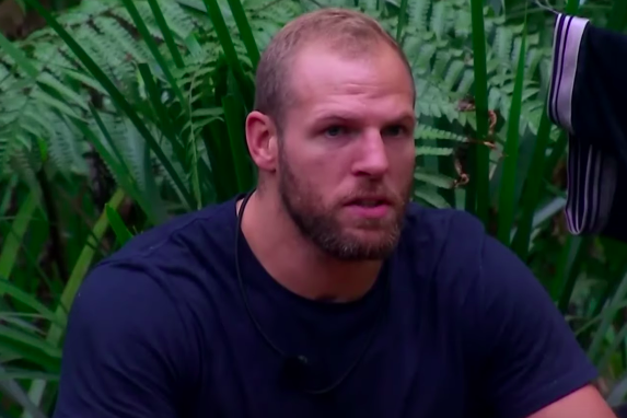 James Haskell dismisses I'm A Celebrity 'tension' claims 