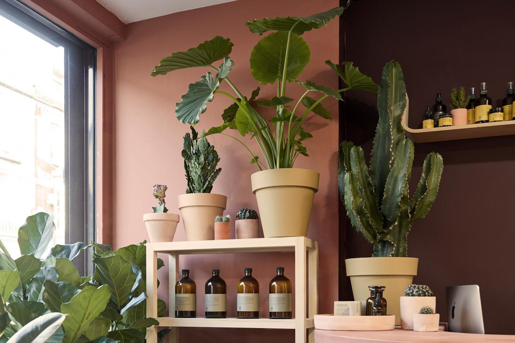 ES Tests: Buller & Rice Walthamstow, London's newest sustainable salon