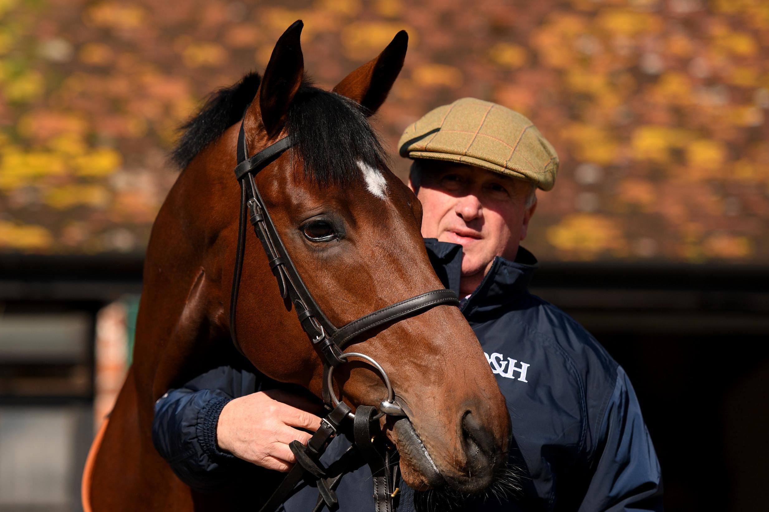 Nicholls: Champion Chase looks dynamite... my pair are no back numbers