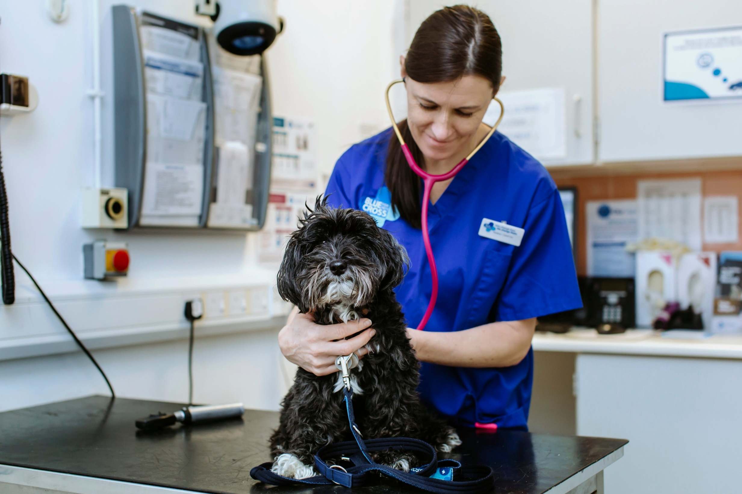 Vets donate life-saving ventilators to hospitals to help fight coronavirus