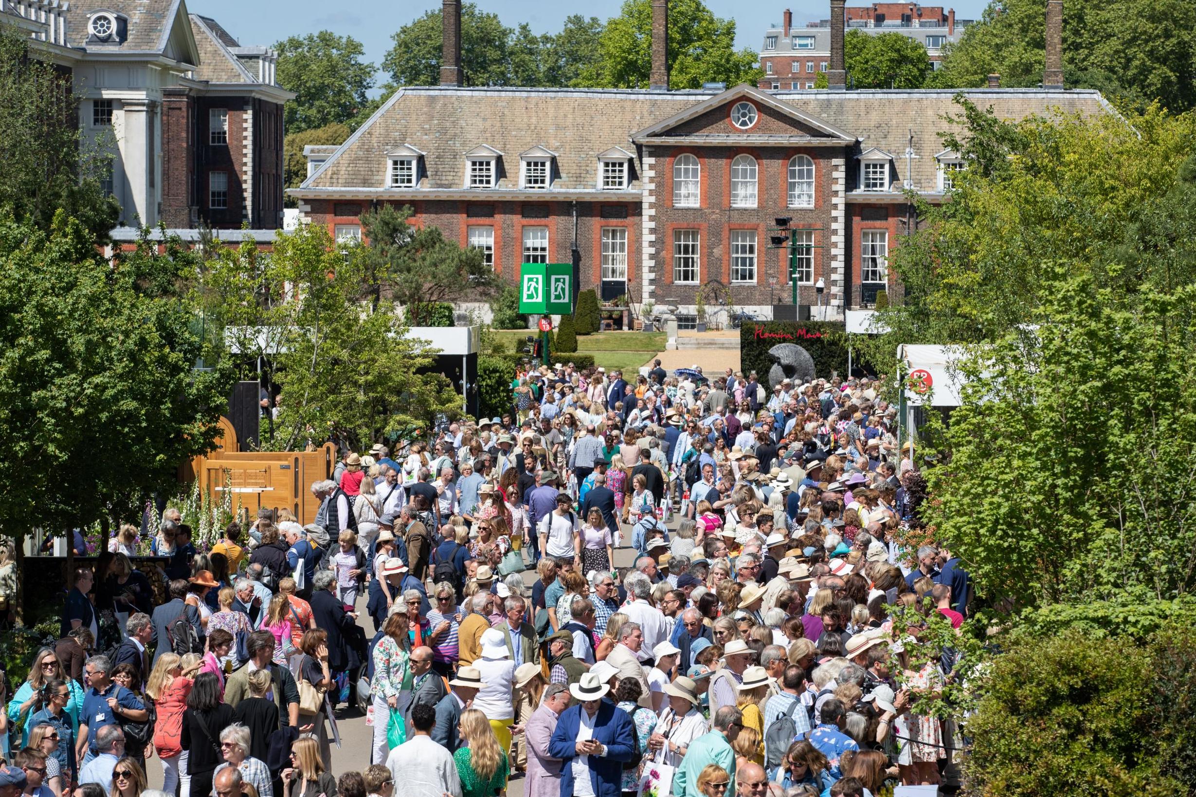 Chelsea Flower Show unveils online displays after event cancelled