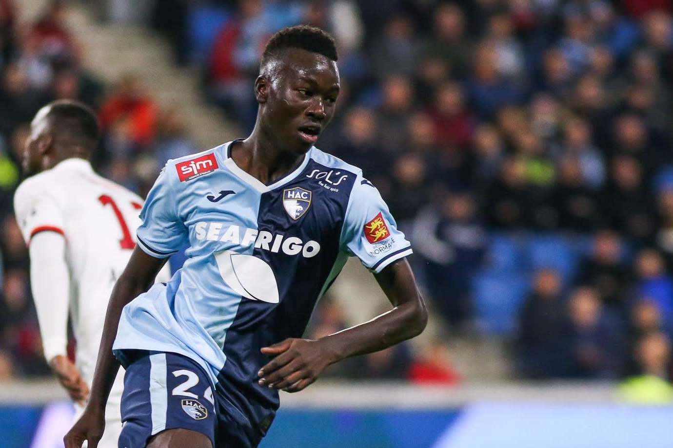 Watford sign Pape Gueye on free transfer from Le Havre