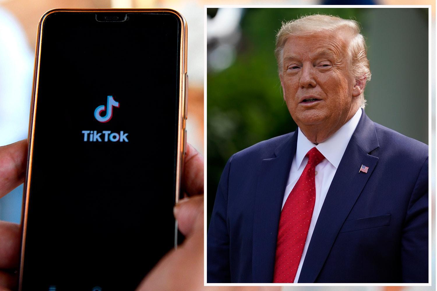Teen TikTok activists threaten ‘war’ with Trump over app ban threat