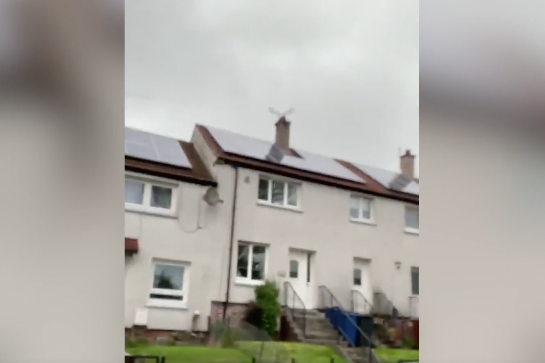 Feathered fury: Seagull attacks man trying to get into his house
