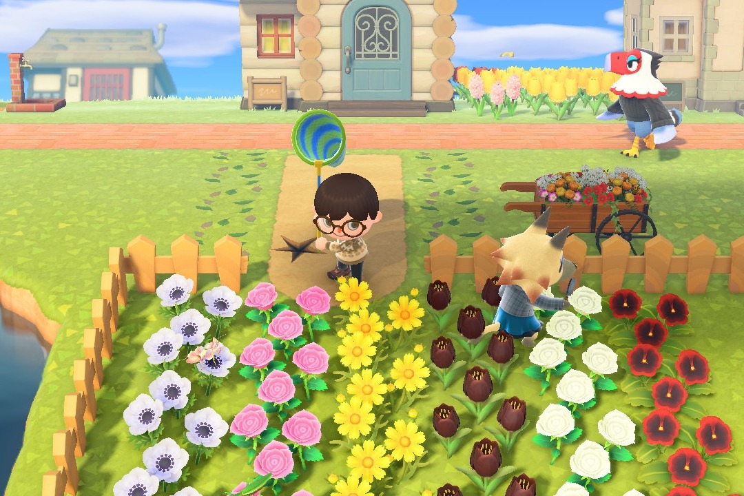 All the new Animal Crossing bugs to catch this October