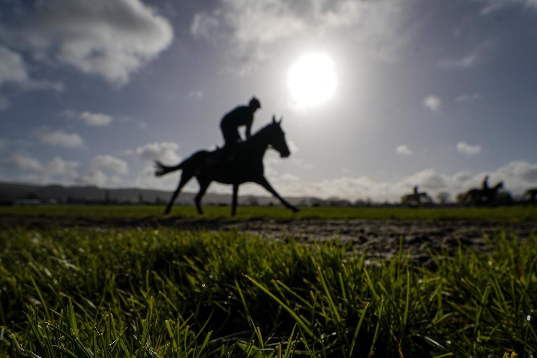 Chamberlin says racing can be 'beacon of hope' on Cheltenham return